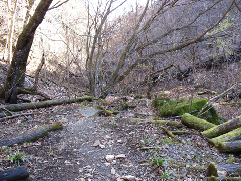 20161206hike (373)
